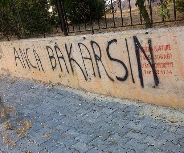 Anca Bakarsın