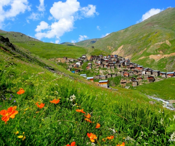 Artvin Yaylaları