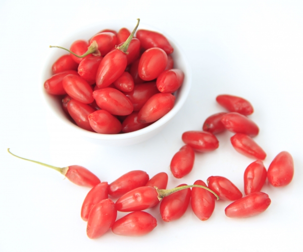 Goji üzümü zararları
