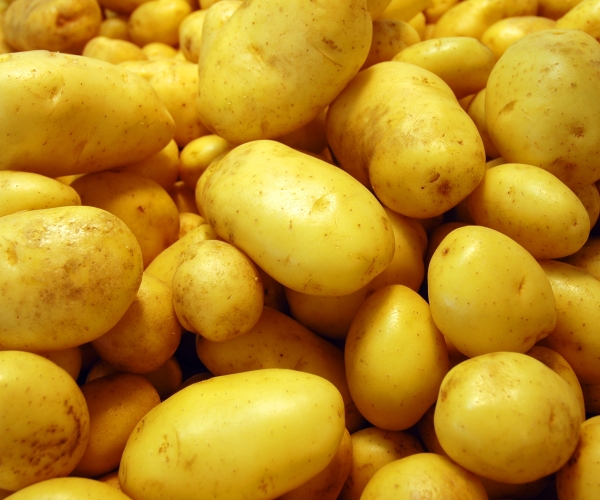 Patatesin faydaları nelerdir? Patates nasıl pişirildiğinde daha faydalı olur?