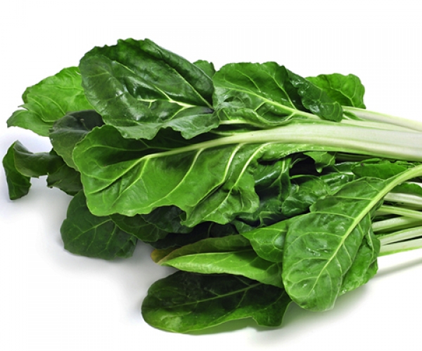 Pazıdaki vitaminler
