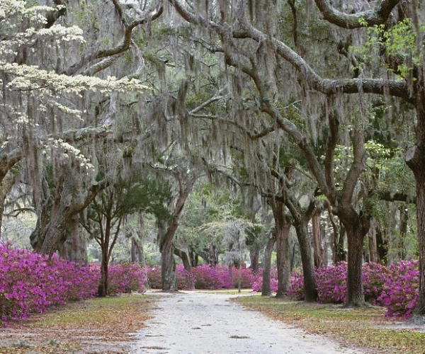 Savannah, Georgia, Amerika